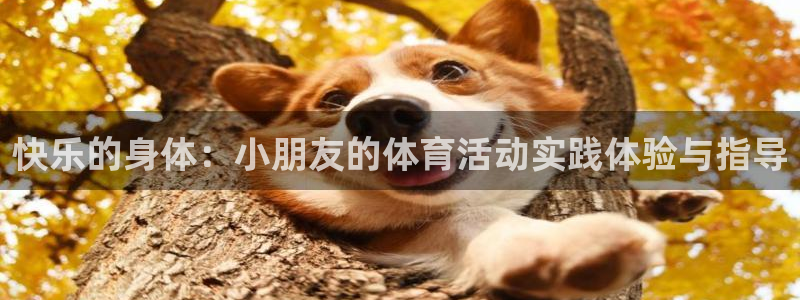 快乐的身体：小朋友的体育活动实践体验与指导