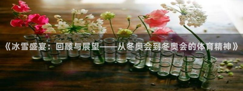 《冰雪盛宴：回顾与展望——从冬奥会到冬奥会的体育精神》
