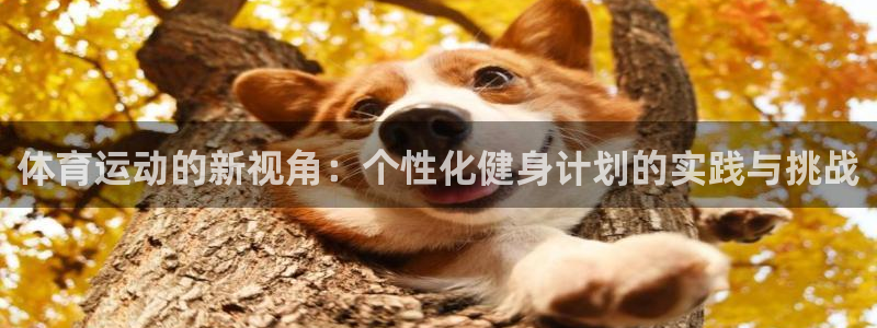 体育运动的新视角：个性化健身计划的实践与挑战