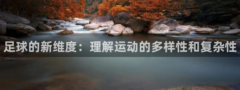 足球的新维度：理解运动的多样性和复杂性