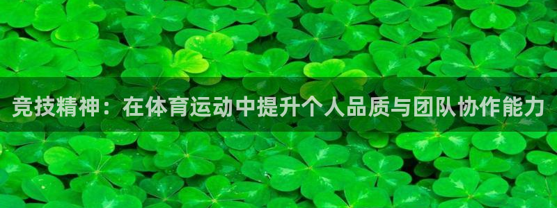 竞技精神：在体育运动中提升个人品质与团队协作能力