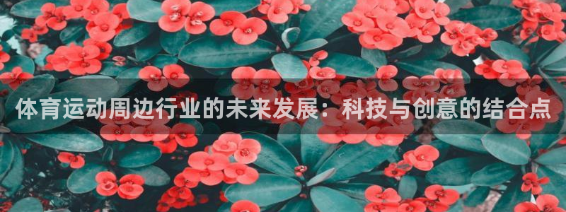 体育运动周边行业的未来发展：科技与创意的结合点
