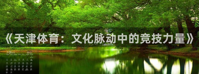 《天津体育：文化脉动中的竞技力量》
