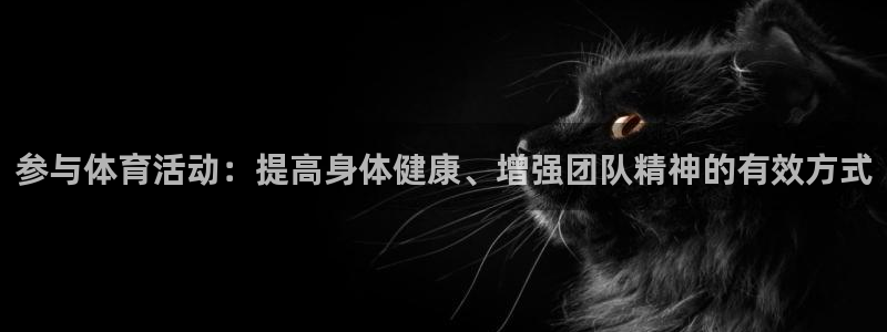 参与体育活动：提高身体健康、增强团队精神的有效方式
