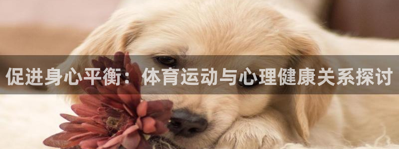 促进身心平衡：体育运动与心理健康关系探讨