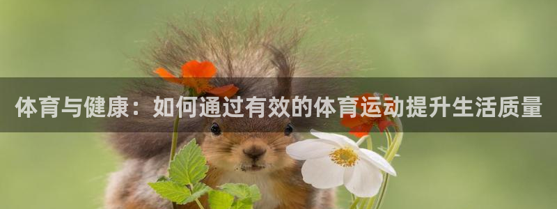 体育与健康：如何通过有效的体育运动提升生活质量