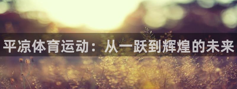 平凉体育运动：从一跃到辉煌的未来