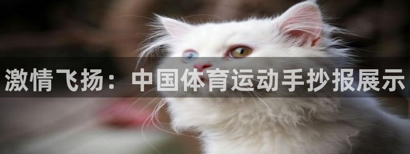 激情飞扬：中国体育运动手抄报展示