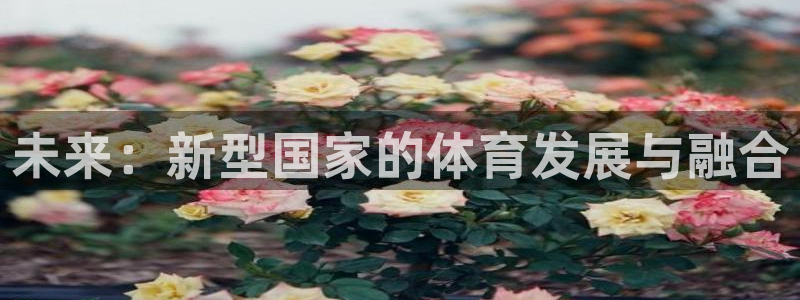 未来：新型国家的体育发展与融合